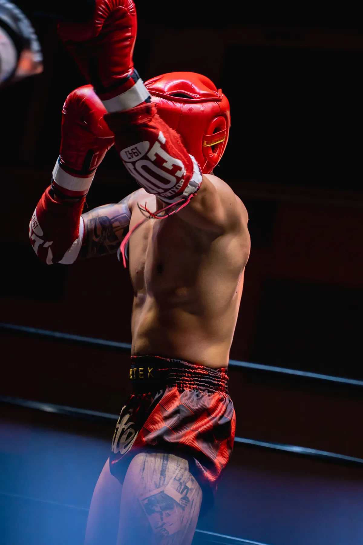 Guantoni rossi alzati sul ring, luce di scena